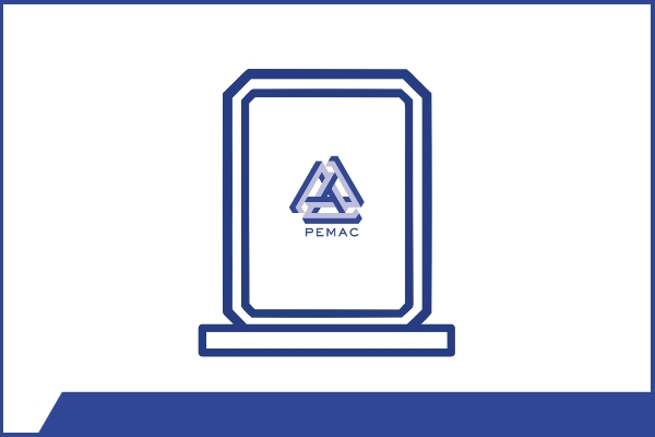 PEMAC Team Award Icon